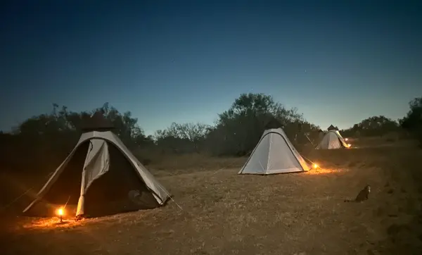 Teepee tents glowing with lantern light at dusk